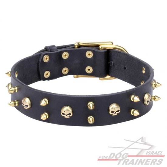 חדש! קולר לכלב מעור כמו בסרטים