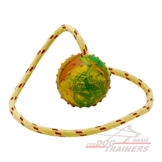 כדור אימון לכלבים על חבל עשוי גומי מוצק - גודל גדול 7 ס"מ