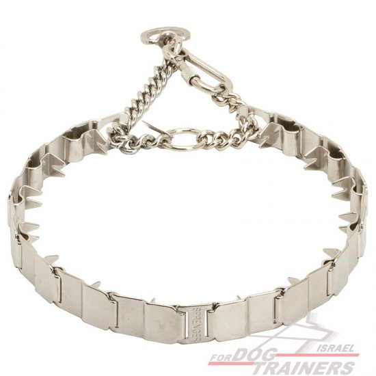 קולר דוקרנים משלוב חצי חנק- לכלבים בעלי פרווה קצרה