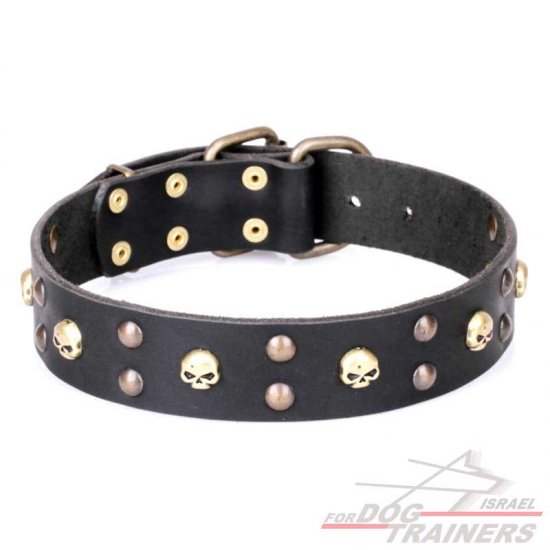 חדש! קולר לכלב מעור דקורטיבי