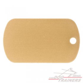 תג שם- דיסקית זהובה