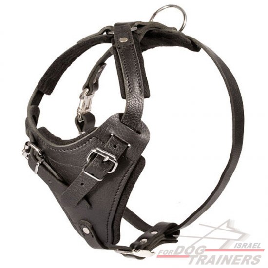 LEATHER_HARNESS_LRG