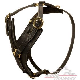 רתמה לכלב מעור אופנתית ומתכווננת עם אופציה לידית לאימון כלבים