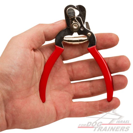 קוצץ ציפורניים לכלב