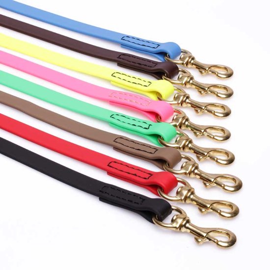 BIOTANE-dog-LEASHE_LRG