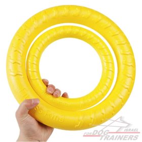 טבעת משחק בסגנון פולר- עמידה לכלבים בטכנולוגיית פואום