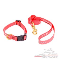 סט קולר ורצועה מביאוטן עם הטבעה של כלב שירות- 10% הנחה