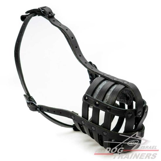 מחסום פה לכלב קל משקל ומאוורר לשימוש יומיומי