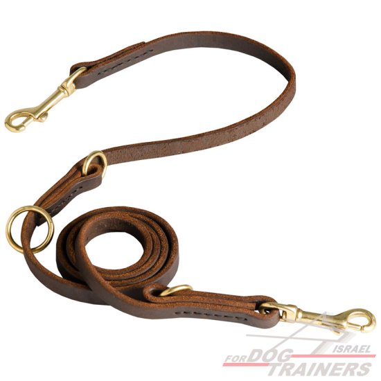 רצועת עור לכלב רבת מצבים לטיולים ולאימונים
