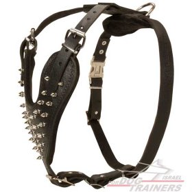 רתמה לכלבים עם ניטים מתכווננת מעור לטיולים אופנתיים עם הכלב ולאימונים