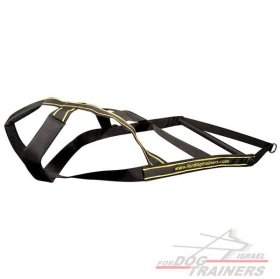 רתמה לכלב לסחיבת משקלים - שדרגו את כלבכם!