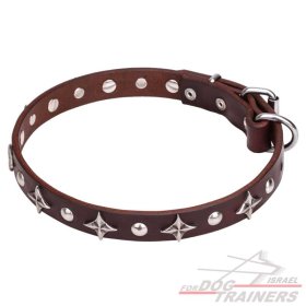 חדש! קולר לכלב מעור בעיצוב בלעדי