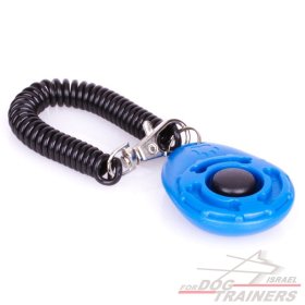 לחצן לאילוף בסיסי ומהיר לכלב