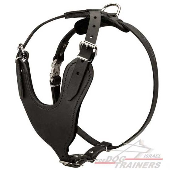 רתמת עור לכלב מתכווננת לאימוני הגנה / תקיפה