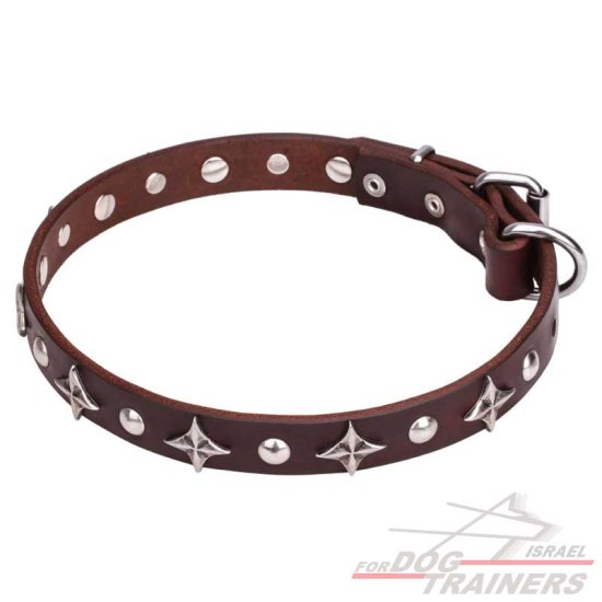 חדש! קולר לכלב מעור בעיצוב בלעדי