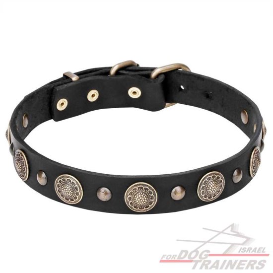 קולר עור לכלב איכותי במיוחד - מעוצב