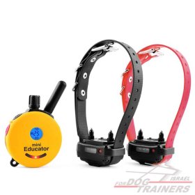 אי קולר קולר אלקטרוני מיני אדיוקיטור ערכה ל2 כלבים E-Collar EDUCATOR MINI EDUCATOR (ET 302)