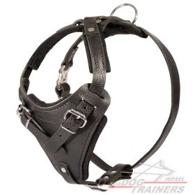 רתמת עור לכלב מתאימה לכלבים בינוניים / גדולים | לאימוני תקיפה ולטיולים