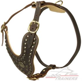 רתמת עור לכלב מעוצבת ומרופדת | לטיולים ולאימונים