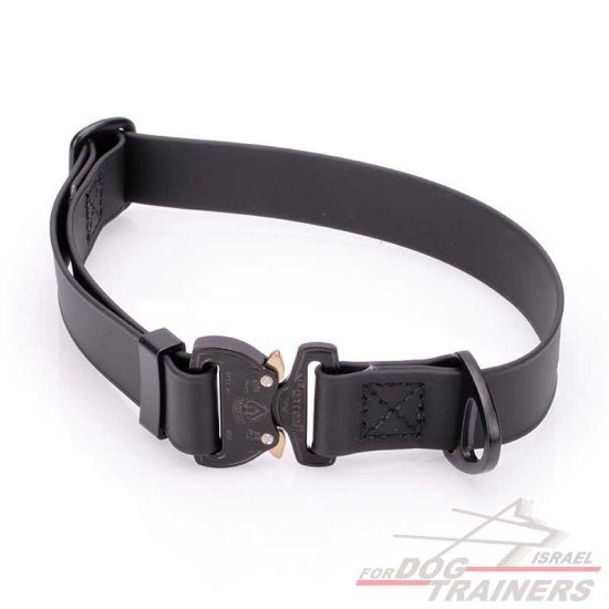 קולר מתכונן לכלב מביאוטן- עם נעילת קוברה מקורית
