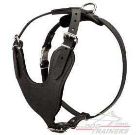 רתמת עור לכלב מתכווננת לאימוני הגנה / תקיפה