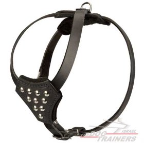 רתמת עור לכלב מעוצבת עם רצועות מתכווננות | לטיולים ולאימונים של גורים