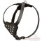 רתמת עור לכלב מעוצבת עם רצועות מתכווננות | לטיולים ולאימונים של גורים