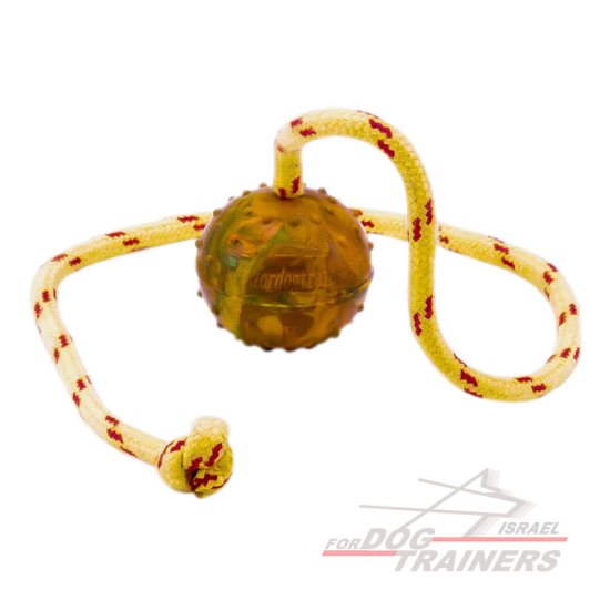 כדור אימון לכלבים על חבל עשוי גומי מוצק - גודל קטן 5 ס"מ