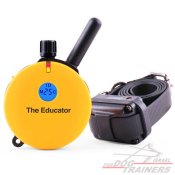 E-collar-educator-et400-FDT-ISRAEL-big.jpg