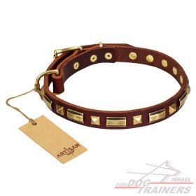 חדש! קולר לכלב מעור מעוצב