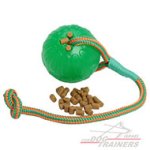 כדור עשוי מגומי מיוחד לכלב