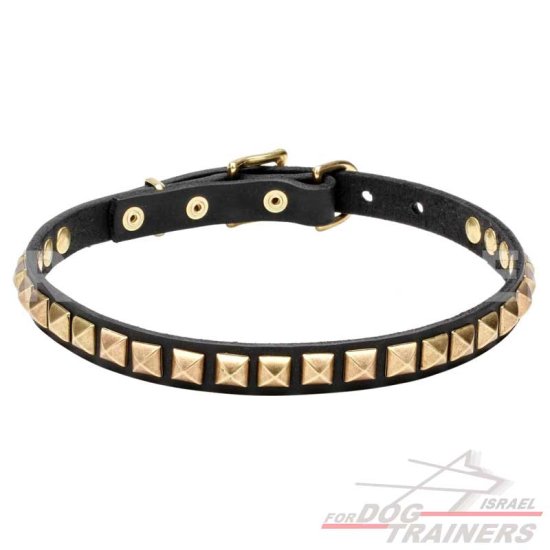 עיצוב חדש! קולר לכלב מעור עם קישוט אופנתיות