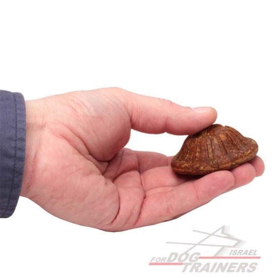 חטיפים בריאים וטעימים לכלב בטעם עוף - גודל בינוני