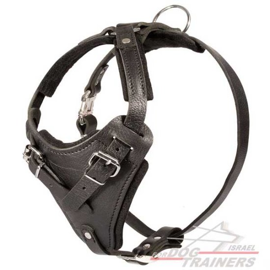 רתמת עור לכלב מתאימה לכלבים בינוניים / גדולים | לאימוני תקיפה ולטיולים