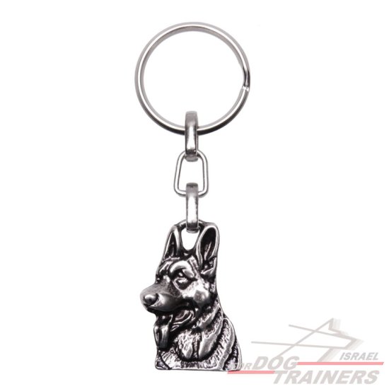 FDT מחזיק המפתחות הרשמי של