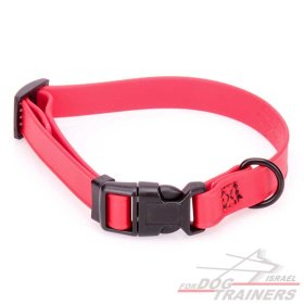 קולר מתכונן לכלב מביאוטן אדום- מתאים לגורים לגזעים קטנים- 1 ס"מ רוחב