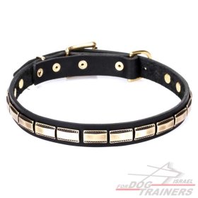 חדש! קולר לכלב מעור מאובזר בקישוט דקורטיבי