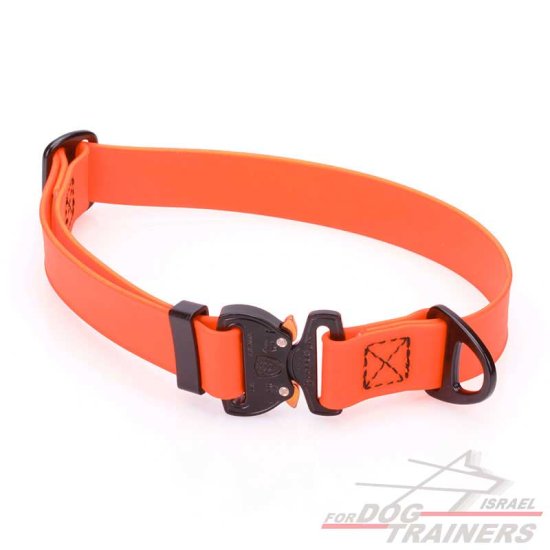 קולר מתכוונן לכלב בצבע כתום בוהק- עם נעילת קוברה מקורית