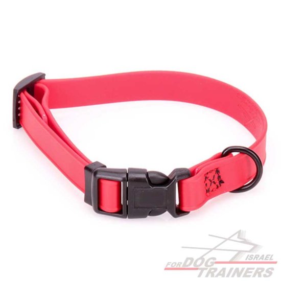 קולר מתכונן לכלב מביאוטן אדום- מתאים לגורים לגזעים קטנים- 1 ס"מ רוחב