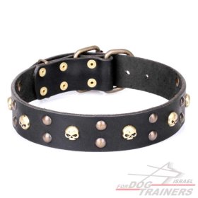 חדש! קולר לכלב מעור דקורטיבי