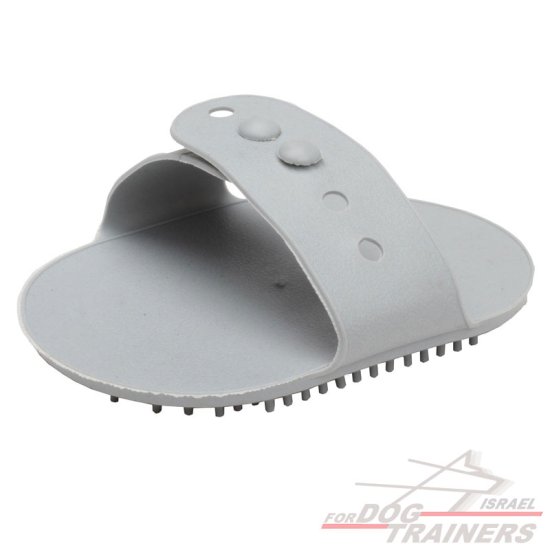 חדש! מסרק גומי לכלבים