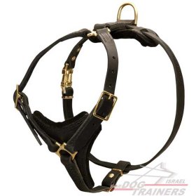 רתמת עור לכלב | לגישוש, טיולים ולאימונים