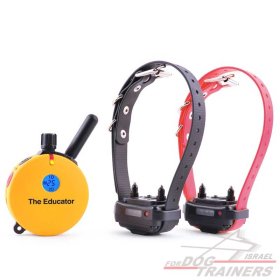 אי קולר קולר אלקטרוני אדיוקיטור ערכה ל2 כלבים E-Collar ET-402 EDUCATOR