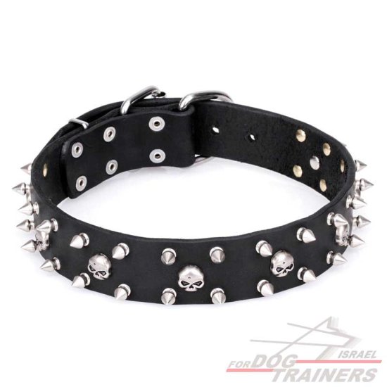 חדש! קולר לכלב מעור דקורטיבי