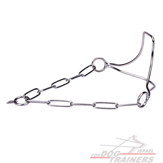 "גאוות הזוכה" קולר כלב איכותי מנירוסטה לתערוכות עם חוליות שומרות פרווה