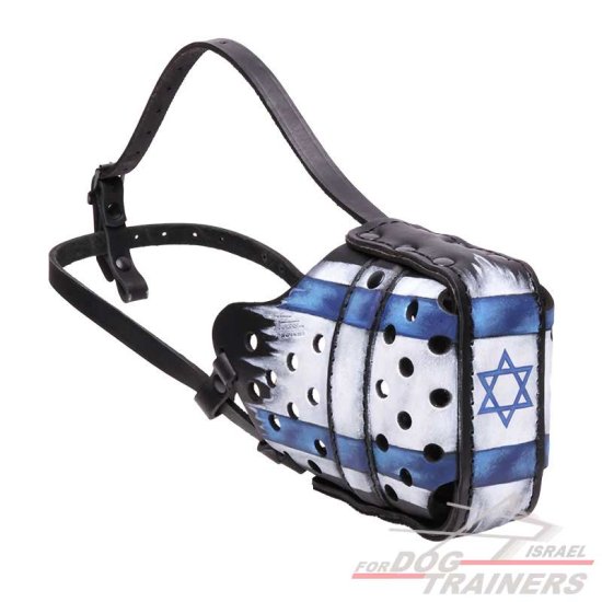 זמם לכלב מעור "דגל ישראל" בצביעה ידנית