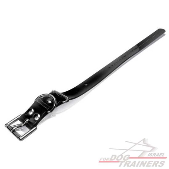 חדש! רצועה חלופית לקולר דוגטרה רוחב 2.5 ס"מ