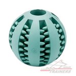 כדור לכלב להיגיינת פה טובה יותר 7 ס"מ - גדול