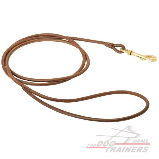 רצועת עור עגולה לתצוגת כלבים - 6 מ"מ