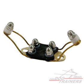 חדש! מתאם פרפר לקולרי דוגטרה- מומלץ לפרווה ארוכה